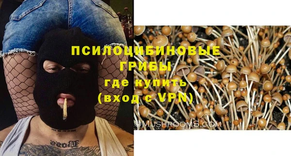 мяу мяу мука Алзамай