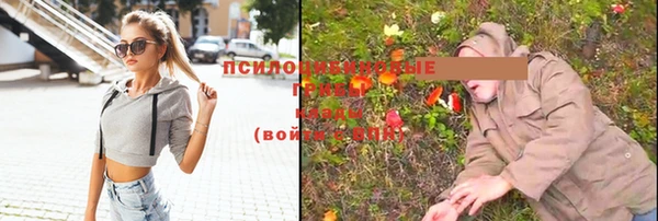 мяу мяу мука Алзамай