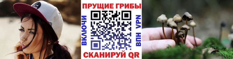 где найти наркотики  Асбест  Галлюциногенные грибы мицелий 